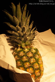 160425-11-pineapple_init.jpg