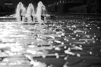 161210-03-fountain-mono.jpg