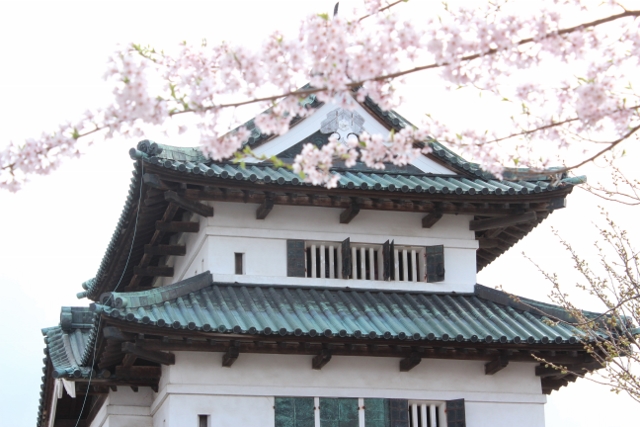 弘前城天守閣と桜
