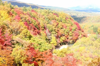 紅葉の松川渓谷・森の大橋からの眺め