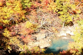 秋田松川渓谷森の大橋からの紅葉