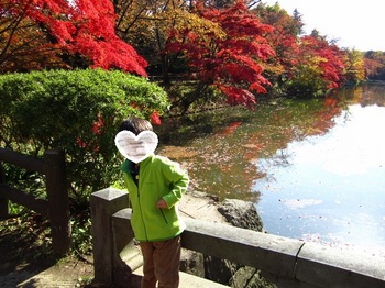 弘前公園菊と紅葉まつり