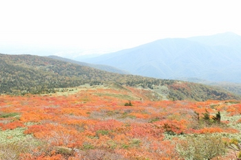 秋の岩手紅葉三石山2015