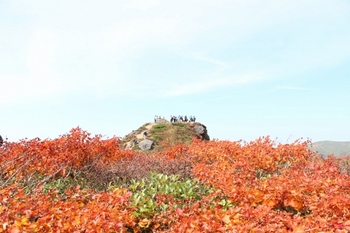 秋の岩手紅葉三石山2015