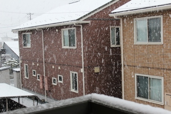 雪国の風景