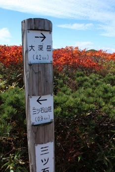三石山山頂付近紅葉　2016