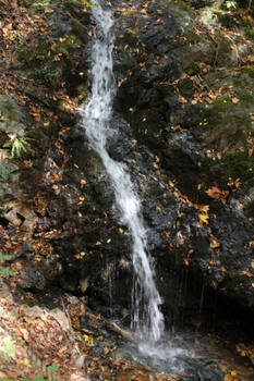 黒森山のガロの滝