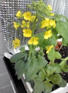 20140404071011.jpg