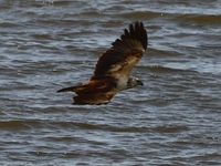 761A5168.JPG