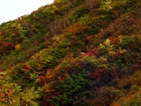 DSCN8593三方岩岳展望台紅葉.JPG