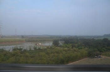 DSC_4705.jpg