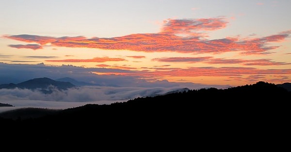 20100724_0001_620-325_mini.JPG
