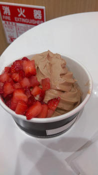 2015-04-19 14.44.jpg