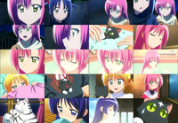 hayate516_2.jpg