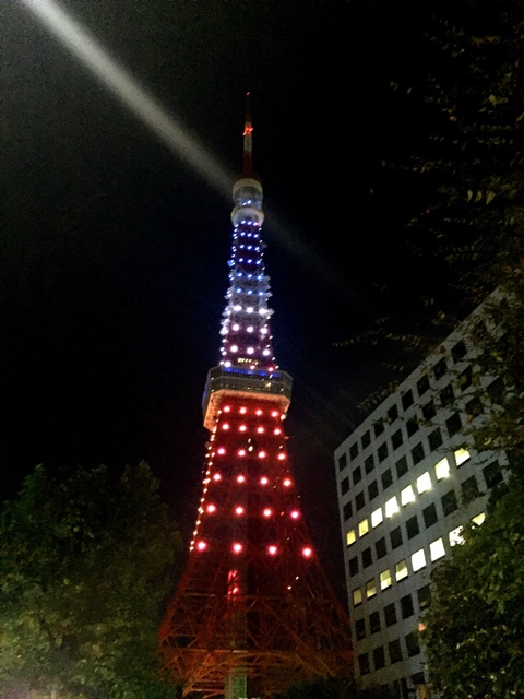 トリコロールカラーの東京タワー.jpeg