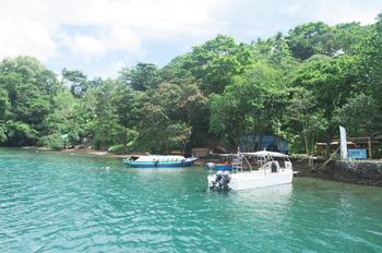 200811lembeh2386.jpg