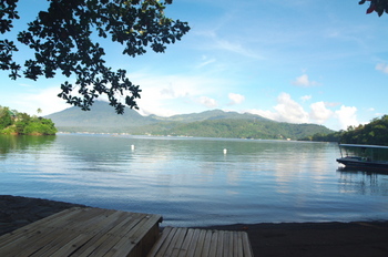 200811lembeh2519.jpg