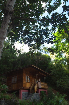 200811lembeh2525.jpg