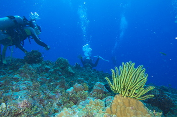 200812saipan290.jpg