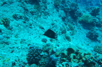 200812saipan323.jpg