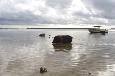 200909tonga591.jpg