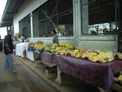 200909tonga684.JPG