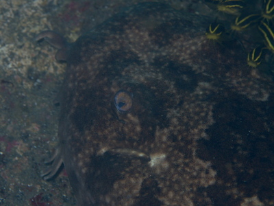 DSC_0018.jpg