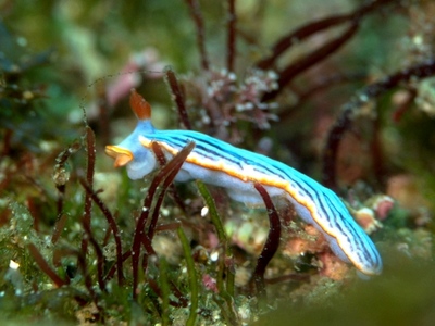 DSC_0023.jpg