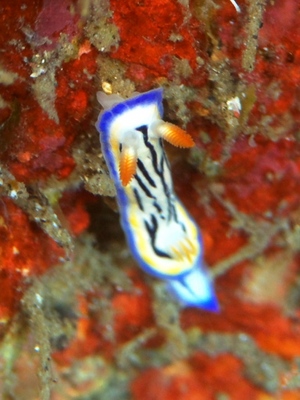 DSC_0046.jpg