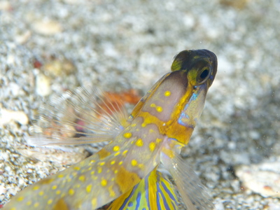 DSC_0200.jpg