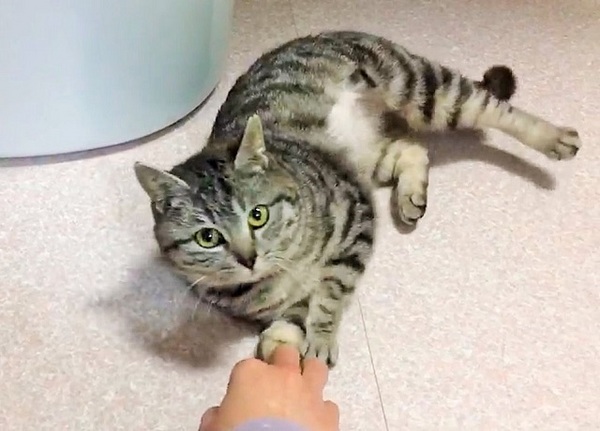 20170330haru1.jpg