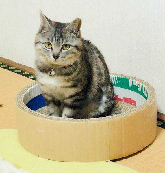 20170506haru1.jpg