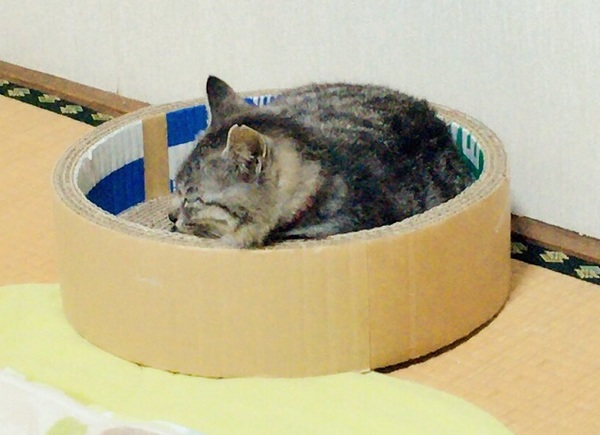 20170506haru2.jpg