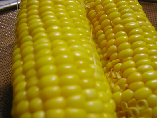 corn3.jpg