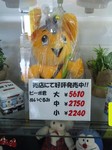 SH380006.jpg