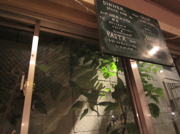 cafe amar