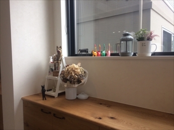 20161108_031209000_iOS.jpg
