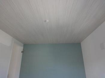 DSC00920.JPG