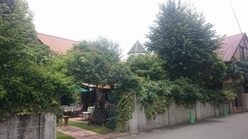 DSC_0448.jpg