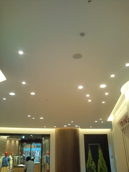 F1011575.jpg