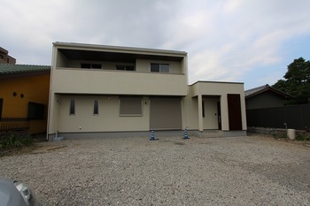 IMG_9442.jpg