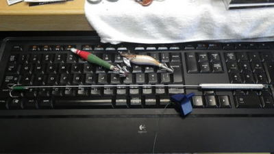 20140614_003.jpg