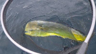 20140705_003.jpg