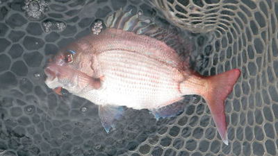 20140705_004.jpg