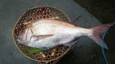 20140705_006.jpg