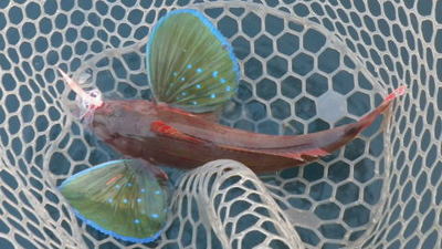 20140726_001.jpg
