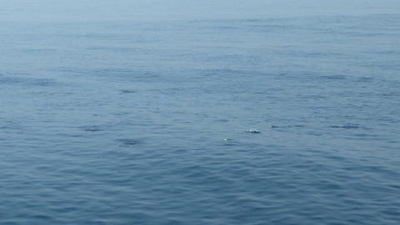 20140726_002.jpg