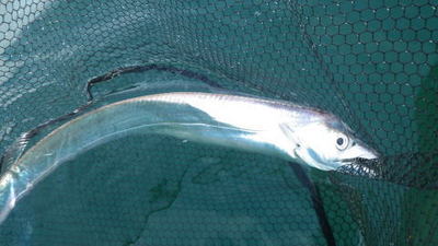 20140802_002.jpg