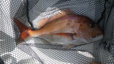 20140802_005.jpg