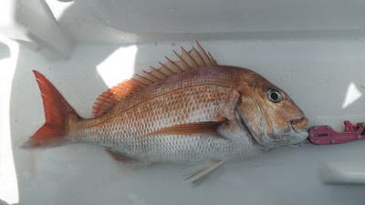 20140802_006.jpg